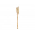 Buchet de iarba uscata de pampas, natur, 75cm, Jolipa 82660004