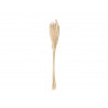 Buchet de iarba uscata de pampas, natur, 75cm, Jolipa 82660004