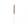 Ramura de iarba pampas uscata, naturala, 137cm, Jolipa 82660002