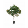 Arbore magnolie artificial 150 cm, EuroPalms 82507255