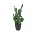 Mix de cactusi artificiali, 54 cm, EuroPalms 82803104