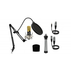 Pachet microfon de studio Audibax Berlin 1800 Pro Pack Silver