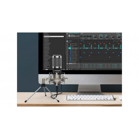 Pachet microfon de studio cu USB Audibax London 800 USB Pack Gold