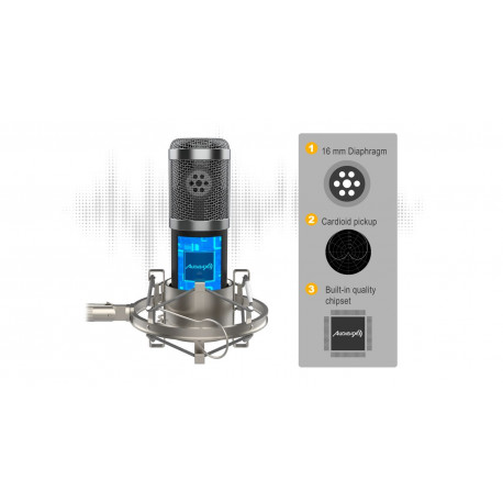 Pachet microfon de studio cu USB Audibax London 800 USB Pack Gold