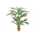 Curmal artificial Canary, 240 cm, EuroPalms 82511311