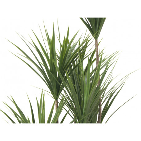 55762