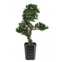 Bonsai artificial podocarpus, 80 cm, EuroPalms 82600116