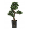 Bonsai artificial podocarpus, 80 cm, EuroPalms 82600116