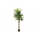 Palmier artificial Kentia, 180 cm, EuroPalms 82511367