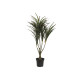 Planta artificiala Dracaena verde-rosie, 90 cm, EuroPalms 82505778