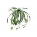 Planta artificiala Spider, 60 cm, EuroPalms 82505721