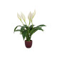 Planta artificiala Crinul Pacii, in ghiveci ceramic, 49 cm, EuroPalms 82505660