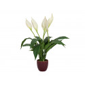 Planta artificiala Crinul Pacii, in ghiveci ceramic, 49 cm, EuroPalms 82505660