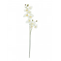 Ramura de orhidee artificiala, alb-crem, 100 cm, EuroPalms 82530323