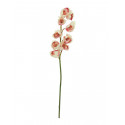 Ramura artificiala roz-crem de Cymbidium, 90 cm, EuroPalms 82530311