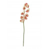 Ramura artificiala roz-crem de Cymbidium, 90 cm, EuroPalms 82530311