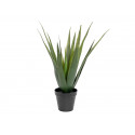 Planta artificiala Aloe Vera 60 cm, in ghiveci, EuroPalms 82600167