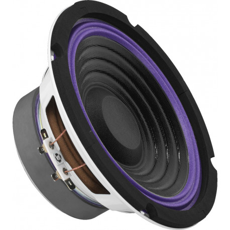 Difuzor pentru subwoofer auto HiFi Carpower SP-167C