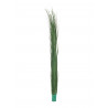 Stuf artificial verde inchis, 127cm, EuroPalms 82505850