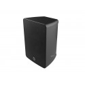 Boxa 100V INTUSONIC 4FP40R BK