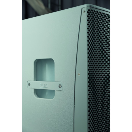 Sistem PA  activ DAP Frigga BK