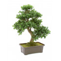 Bonsai artificial 61 cm, EuroPalms 82600004
