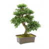 Bonsai artificial 61 cm, EuroPalms 82600004