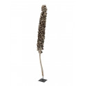 Ciorchine de cocos ca. 120-190 cm, EuroPalms 83502349