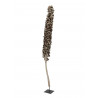 Ciorchine de cocos ca. 120-190 cm, EuroPalms 83502349