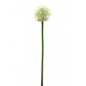 Floare artificiala Allium crem, 55 cm, EuroPalms 82530567