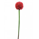 Floare artificiala Allium rosiem, 55 cm, EuroPalms 82530568