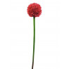 Floare artificiala Allium rosiem, 55 cm, EuroPalms 82530568