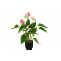 Anthurium artificial, alb cu roz, EuroPalms 82540348 