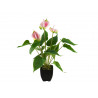 Anthurium artificial, alb cu roz, EuroPalms 82540348 
