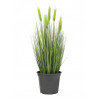 Grau artificial cu spice verzi, 60 cm, EuroPalms 82505866