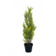 Chiparos Leyland artificial, 60 cm, EuroPalms 82606959