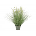 Iarbă ornamentală înflorită artificială, 70 cm, EuroPalms 82600147