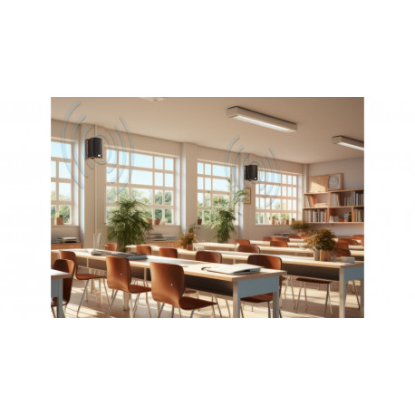 Pereche boxe PA (activa + pasiva) Audibax PR52A Black