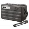 Boxa portabila cu Bluetooth, USB ,SD si microfon C.Perkins ROADY FL