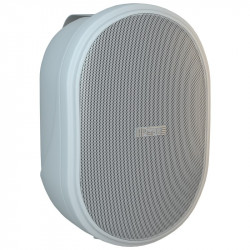 Boxa 100V Apart OVO5T-W