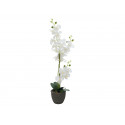 Orhidee artificiala alba 80 cm, in ghiveci, EuroPalms 82530362