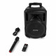 Boxa portabila cu acumulator Bluetooth/USB + mic Fenton FT10LEDMK2 