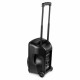 Boxa portabila cu acumulator Bluetooth/USB + mic Fenton FT10LEDMK2 