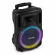 Boxa portabila cu acumulator Bluetooth/USB + mic Fenton FT10LEDMK2 