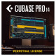 Software clasic de secvențiere audio Steinberg Cubase Pro 14