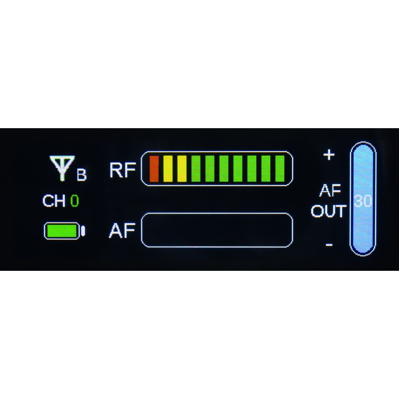 Set microfon wireless DAP COM DV-2