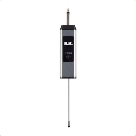 Set microfon wireless Sal MVN 310