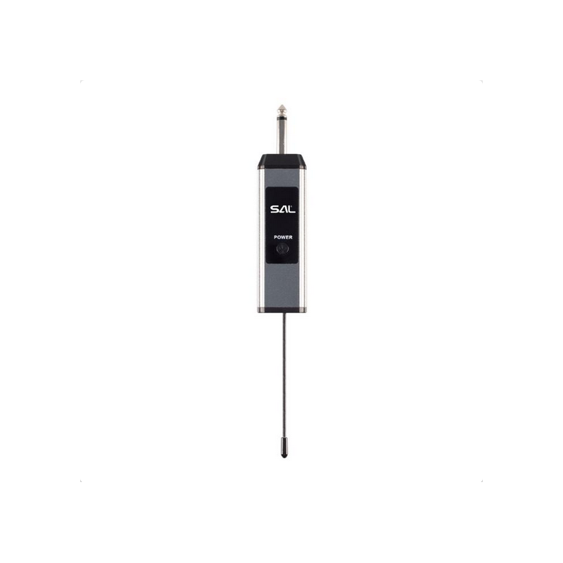 Set microfon wireless Sal MVN 310