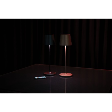 Telecomanda IR pentru seria Event Showtec UR-5
