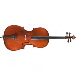 Violoncel Stagg VNC-4/4